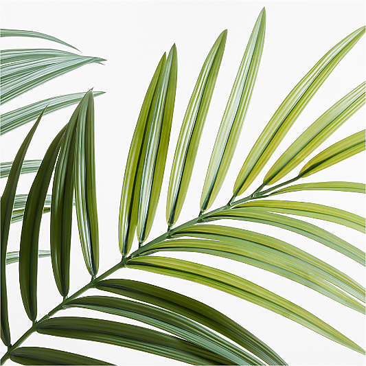 Faux Green Palm Leaf Stem 66"