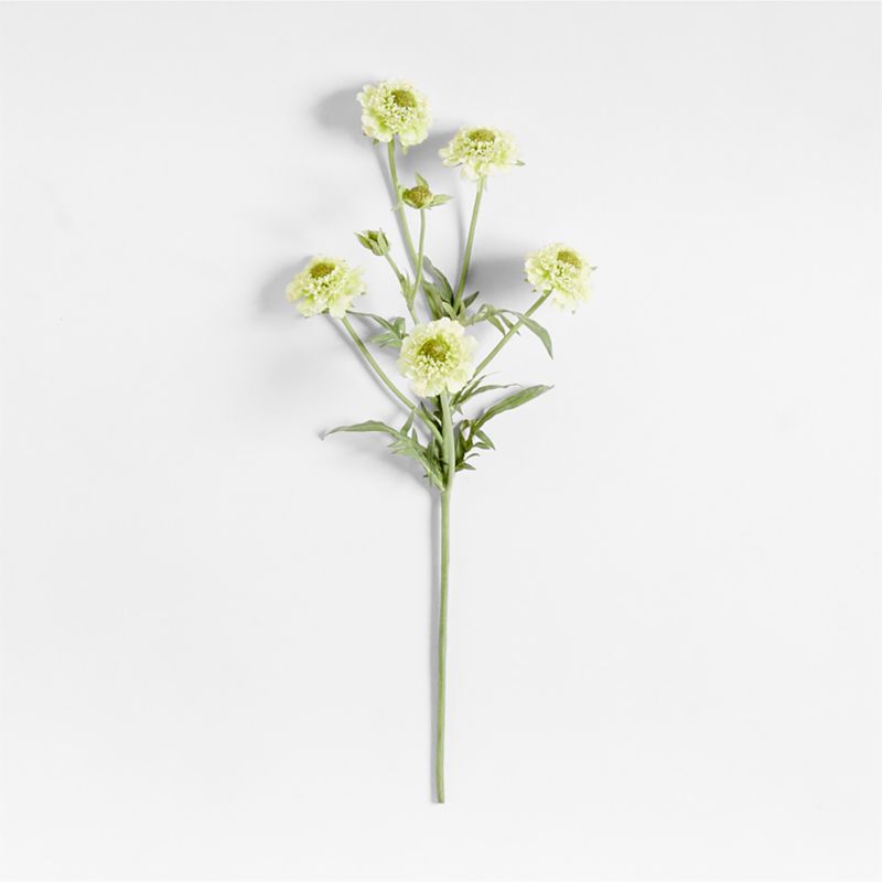 Faux Green Scabiosa Stem 24" by Abigail Ahern - image 0 of 6