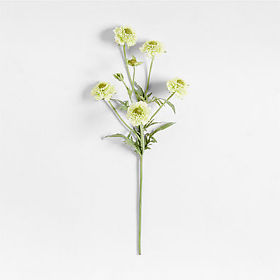View Faux Green Scabiosa Stem 24" by Abigail Ahern details