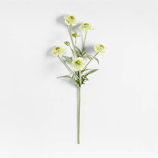 Faux Green Scabiosa Stem 24" by Abigail Ahern