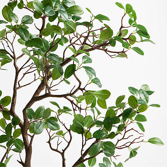 Faux Manzanita Leaf Spray 51"