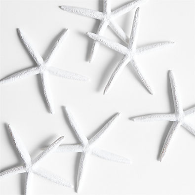 View Faux Starfish Bowl Filler, Set of 6 details