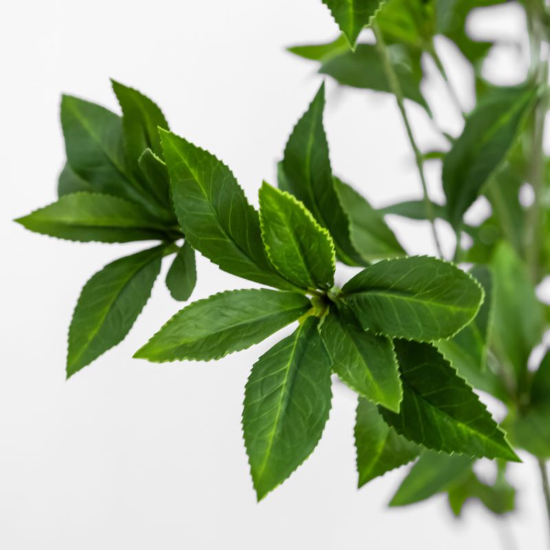 Faux Pieris Tree 8' - image 1 of 4