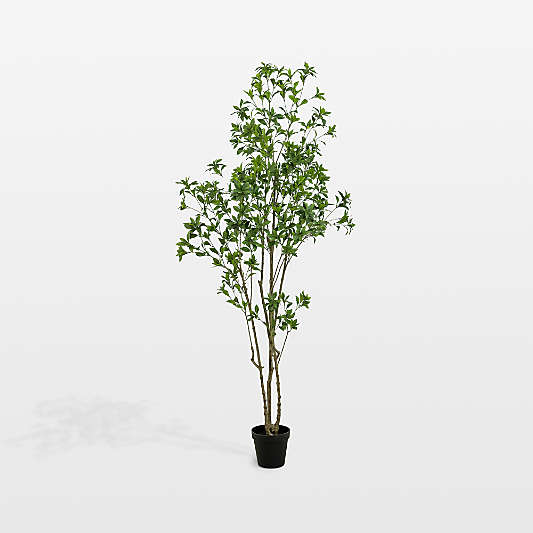 Faux Pieris Tree 8'