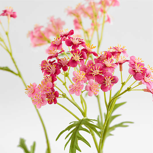 Faux Pink Cow Parsley Stem 43"