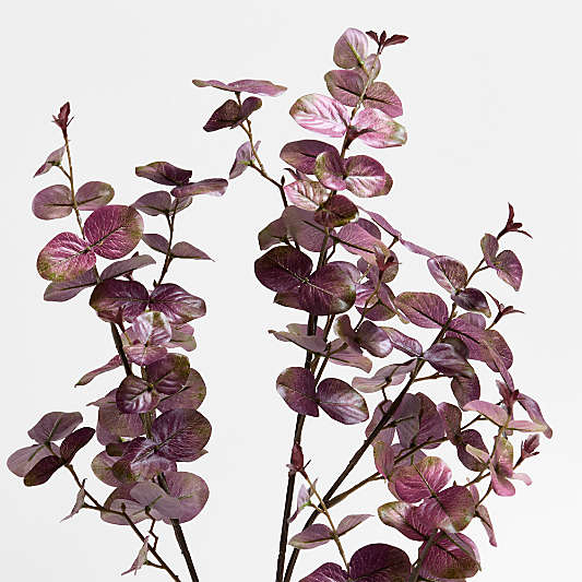Faux Purple Smokebush Stem 41"