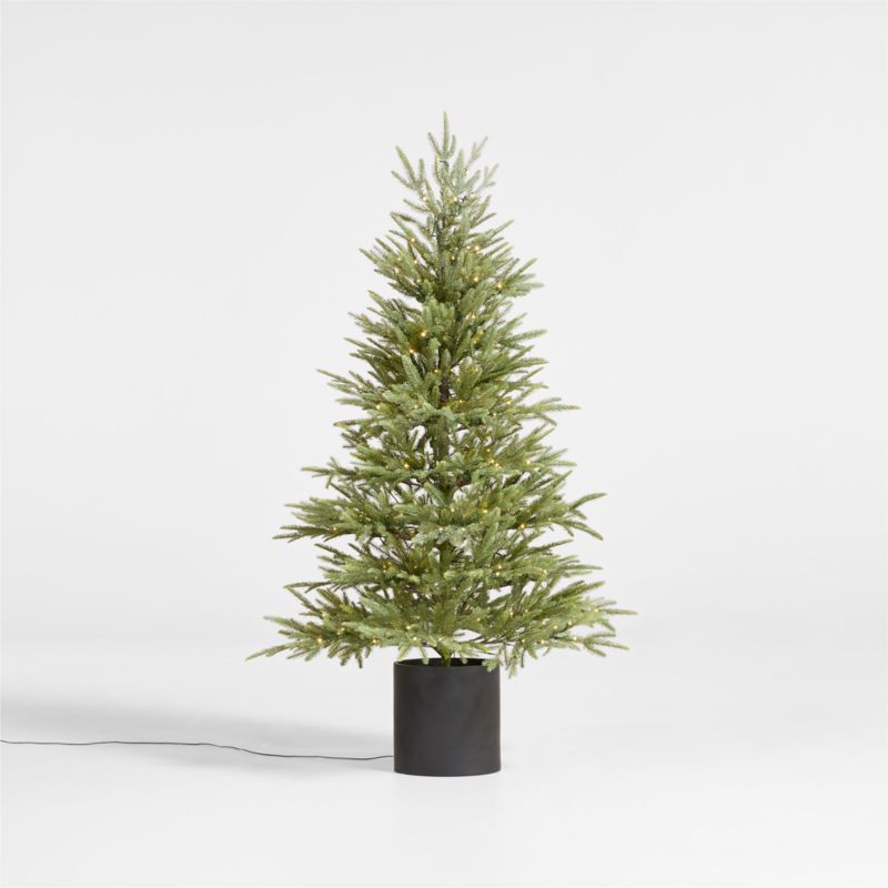 Faux Potted Norway Spruce Pre-Lit LED Tree with White Lights 5' - image 0 of 5