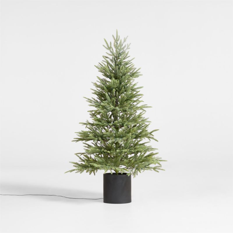 Faux Potted Norway Spruce Pre-Lit LED Tree with White Lights 5' - image 4 of 5