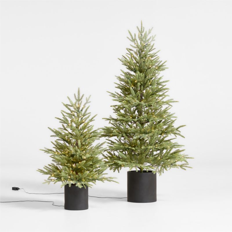 Faux Potted Norway Spruce Pre-Lit LED Tree with White Lights 3' - image 1 of 5