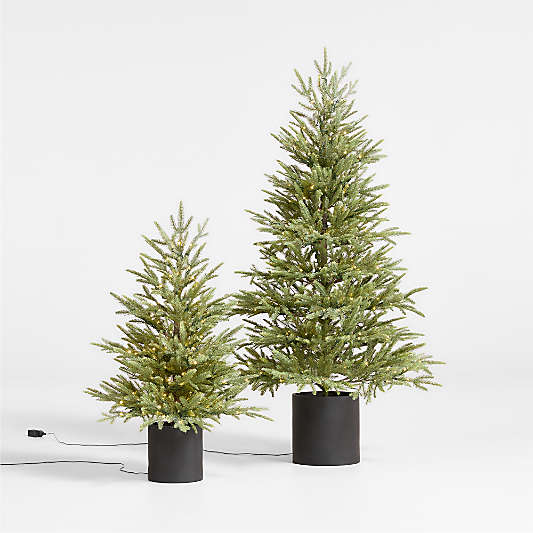 Potted Faux Norway Spruce Pre-Lit LED Tree with White Lights 5'