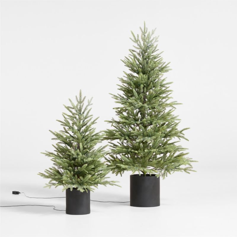 Faux Potted Norway Spruce Pre-Lit LED Tree with White Lights 3' - image 2 of 5