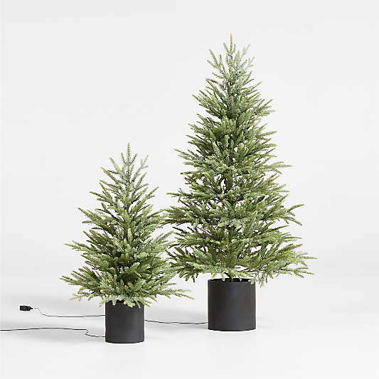 Faux Potted Norway Spruce Pre-Lit LED Tree with White Lights 3'