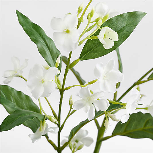 Faux White Cardamine Stem 49"