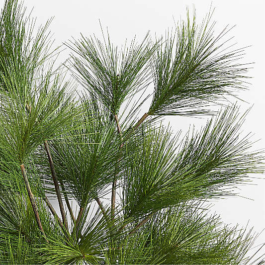 Faux White Pine Holiday Branch 48"