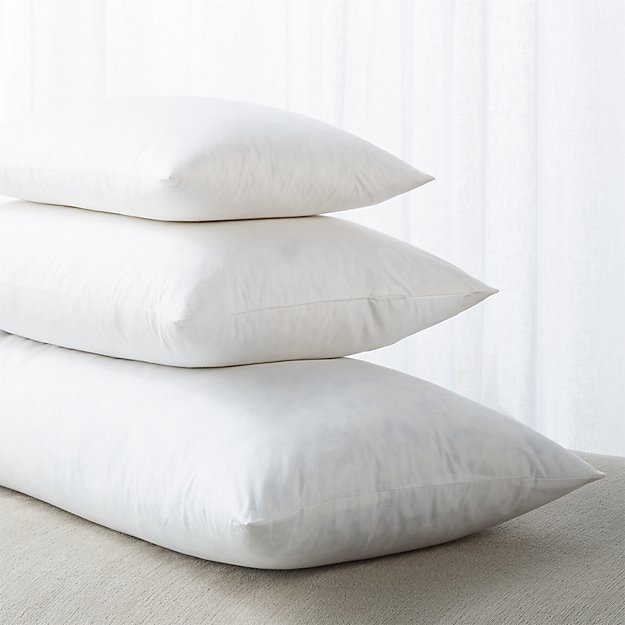 https://cb.scene7.com/is/image/Crate/FeatherDownRectPllwInstGrpFHF18/$web_product_hero$&/220913135441/feather-down-rectangular-pillow-inserts.jpg