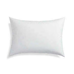 18x28 Synthetic Down Pillow Form Insert for Craft and Pillow Sham