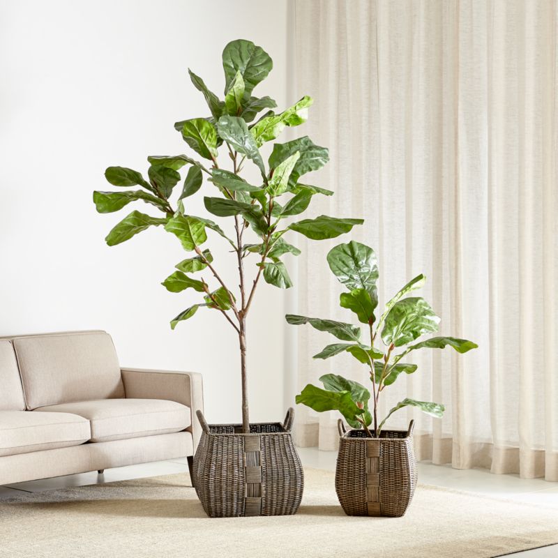 Faux Fiddle Leaf Fig Trees Crate & Barrel