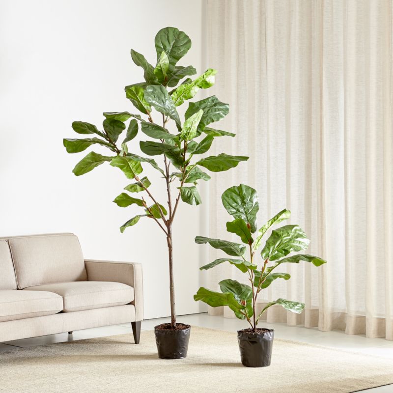 Faux 7' Fiddle Leaf Fig Tree - image 4 of 6