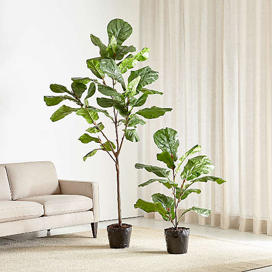 Faux 7' Fiddle Leaf Fig Tree