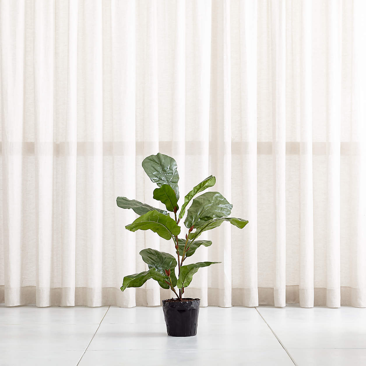 Artificial/Faux Fiddle Leaf Fig Tree 3.5' + Reviews Crate & Barrel
