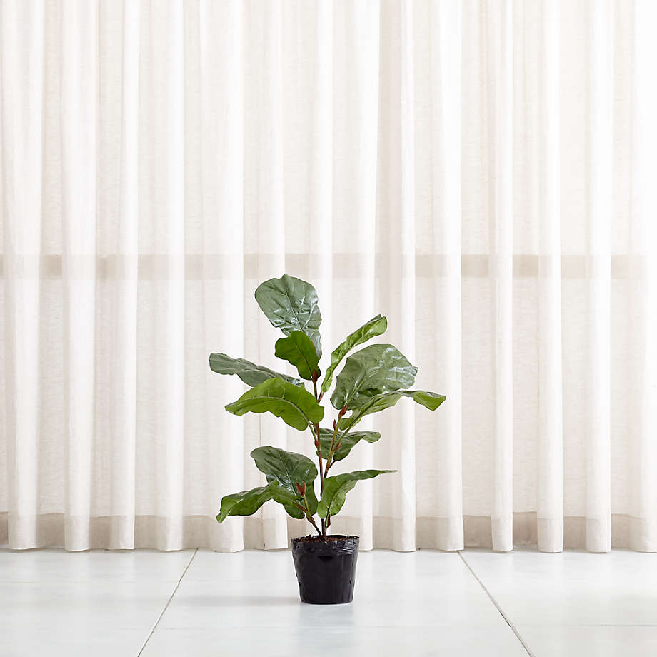 Artificial/Faux Fiddle Leaf Fig Tree 3.5' + Reviews Crate & Barrel