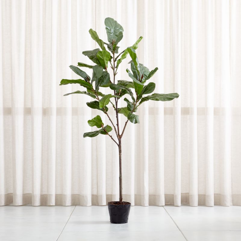 Artificial 7 Fiddle Leaf Fig Tree Reviews Crate And Barrel