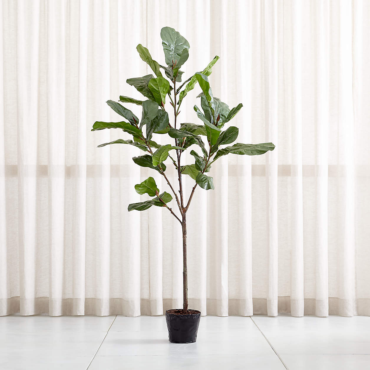 Artificial/Faux 7' Fiddle Leaf Fig Tree + Reviews Crate & Barrel