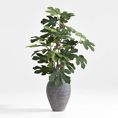 Faux Fig Leaf Stem 60"