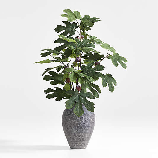 Faux Fig Leaf Stem 60"