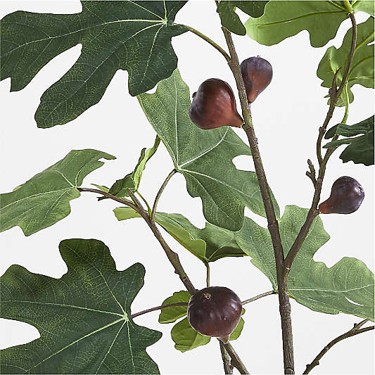 Faux Fig Leaf Stem 60"