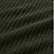 Ficus Green