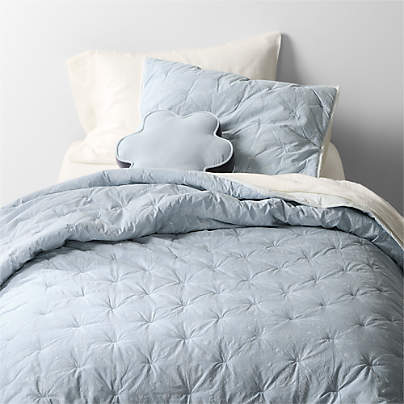 Floral Organic Cotton Line Art Sky Blue and Pampas Ivory Twin XL Comforter