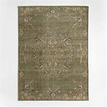 Florence Performance Traditional Floral Green Handknotted Area Rug