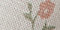 Blush Floret