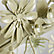 New! Sage Green