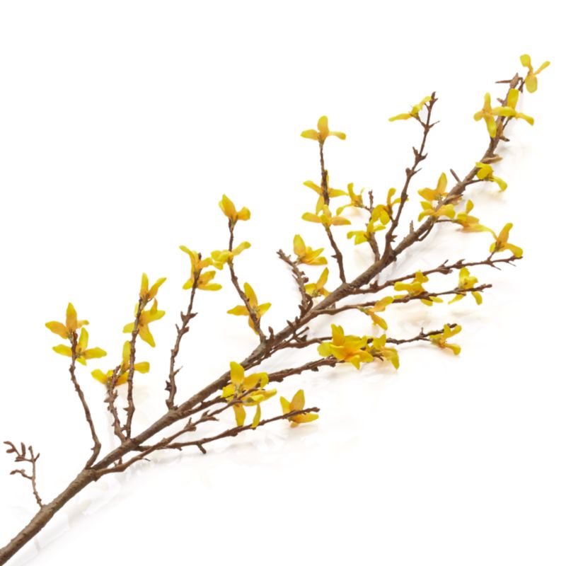 Faux Forsythia Flower Stem 50" - image 3 of 5