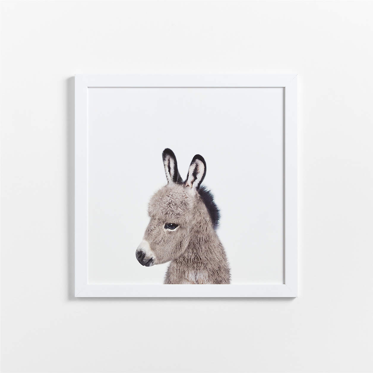 Framed Baby Donkey Wall Art Crate & Kids