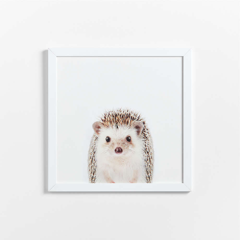 Baby Hedgehog Framed Wall Art Print + Reviews