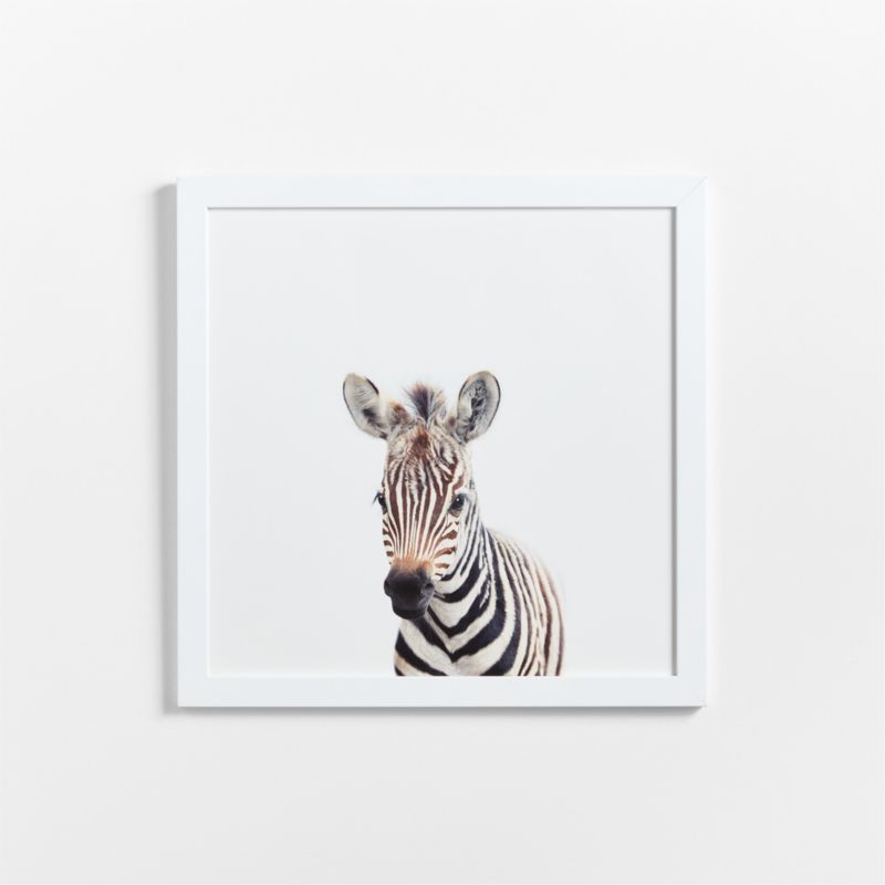 Baby Zebra Framed Wall Art Print + Reviews 