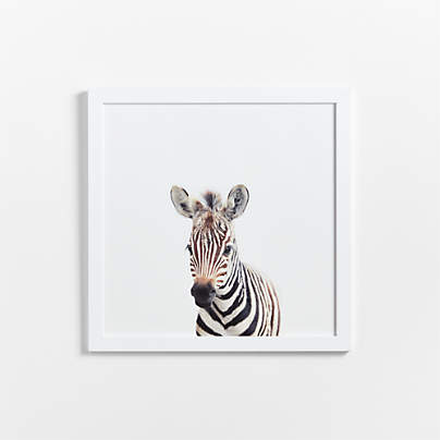 Baby Zebra White Wood Framed Wall Art Print