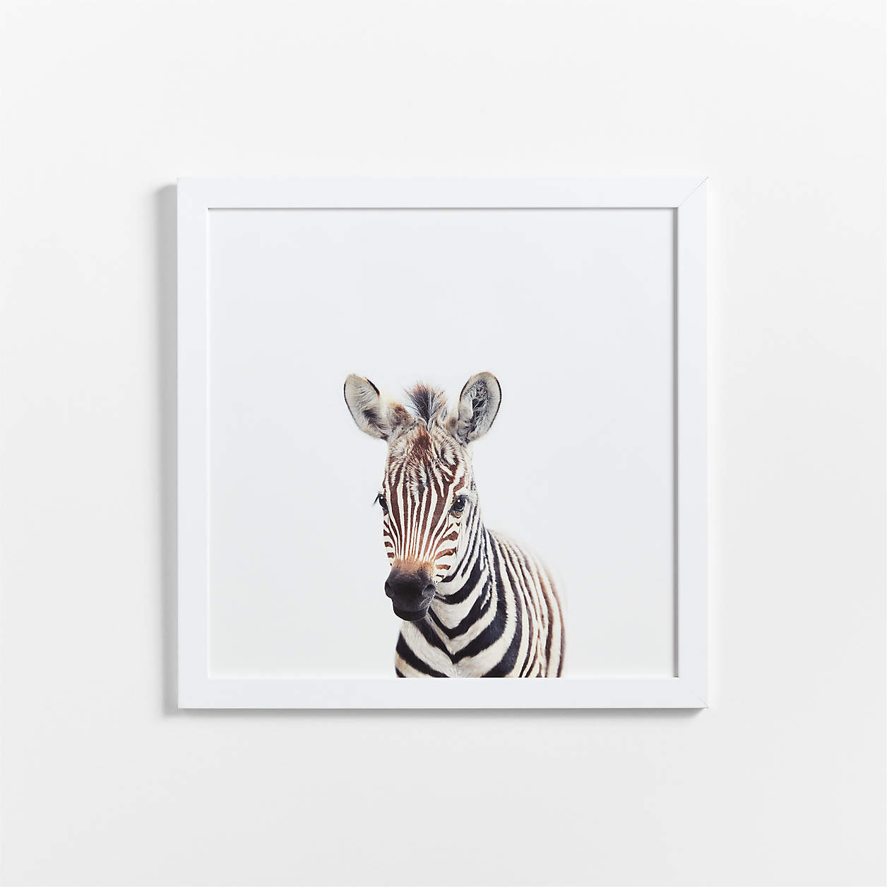 Baby Zebra Framed Wall Art Print Crate & Kids