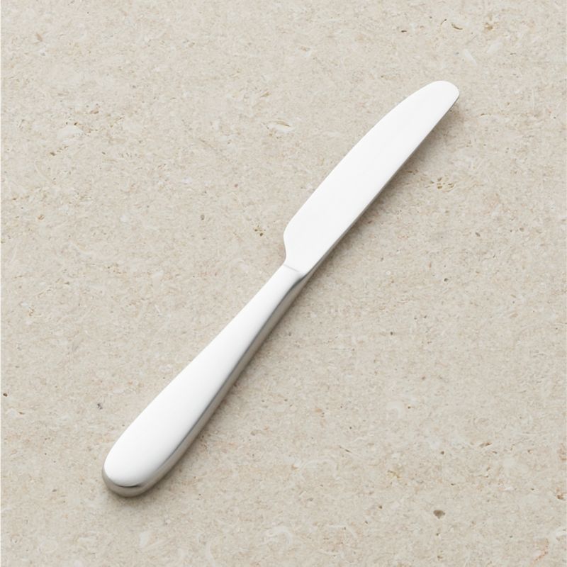 Fusion Butter Knife + Reviews | Crate and Barrel