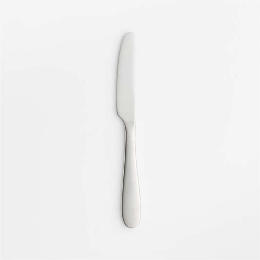 Fusion Butter Knife