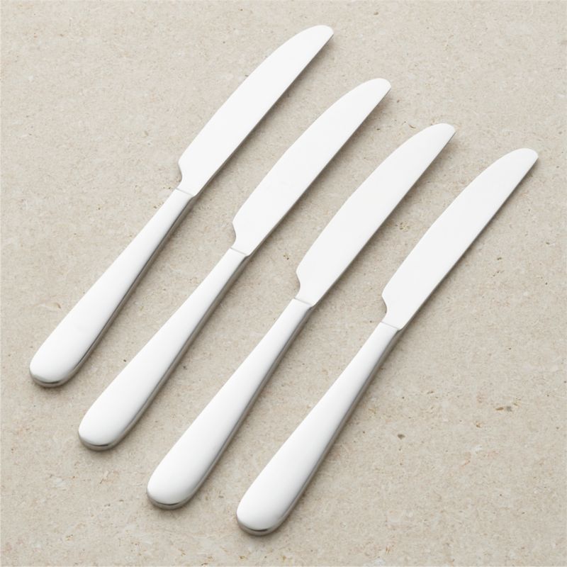 Fusion Dinner Knives, Set of 4 - image 0 of 7