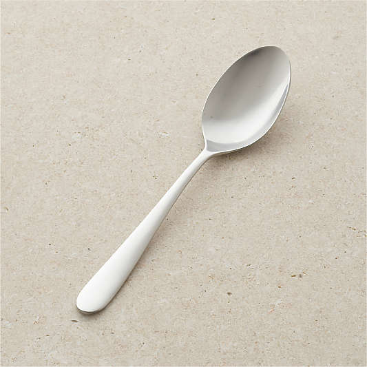 Fusion Serving Spoon