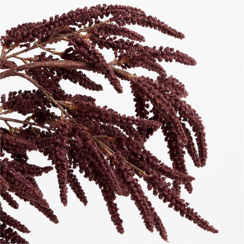 Faux Chocolate Amaranthus Stem 50" - image 1 of 4