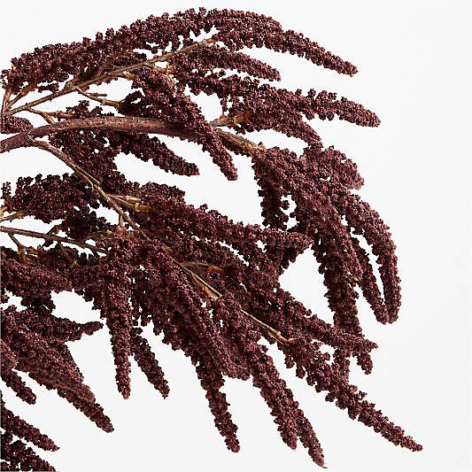 Faux Chocolate Amaranthus Stem 50"