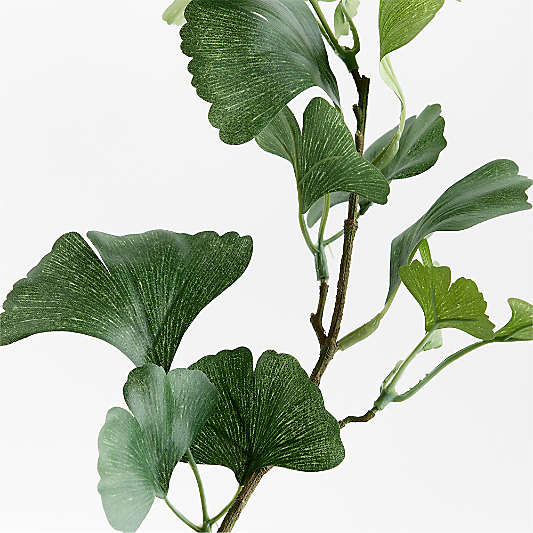 Faux Green Ginkgo Branch 51"