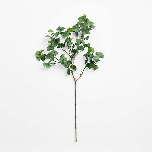Faux Green Ginkgo Branch 51"