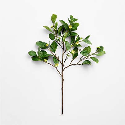 Faux Green Persimmon Branch 41"